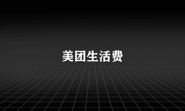 美团生活费