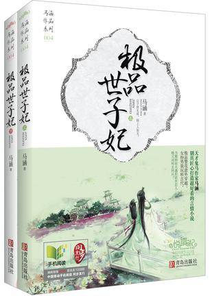极品世子妃（2013年青岛出版社出版的图书）