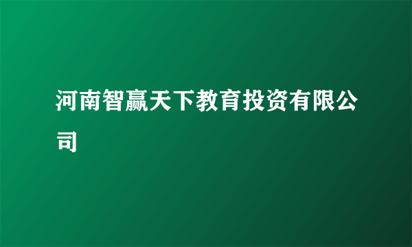河南智赢天下教育投资有限公司