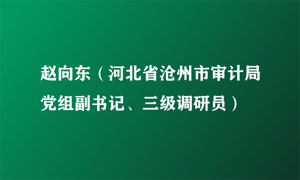 赵向东（河北省沧州市审计局党组副书记、三级调研员）