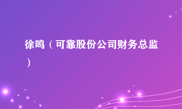 徐鸣（可靠股份公司财务总监）