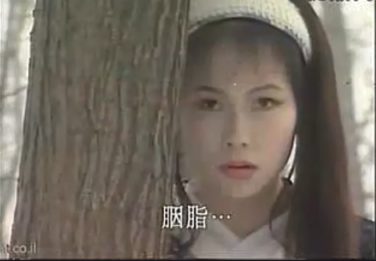 胭脂（电视剧《长风镖局》三部曲之《翡翠娃娃》的角色）