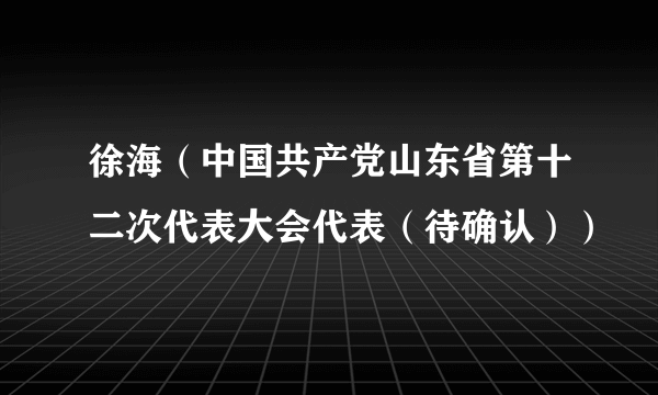 徐海（中国共产党山东省第十二次代表大会代表（待确认））