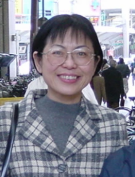 丁伟（东南大学计算机科学与工程系教授）