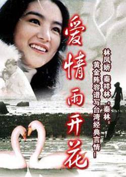 爱情雨开花