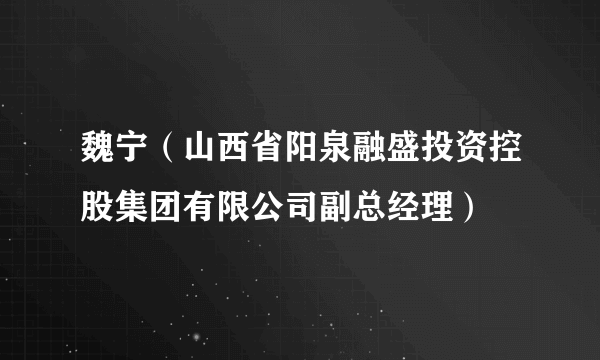 魏宁（山西省阳泉融盛投资控股集团有限公司副总经理）