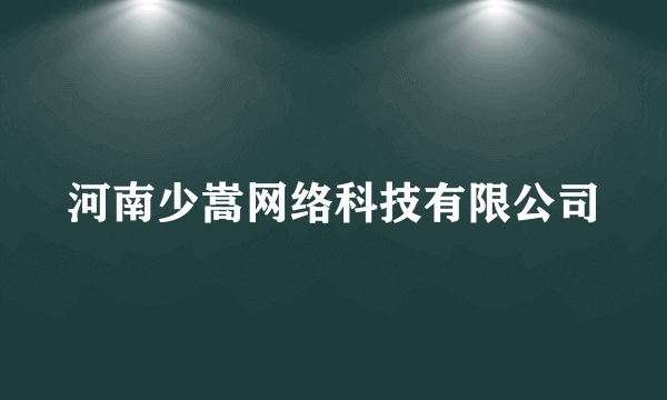 河南少嵩网络科技有限公司