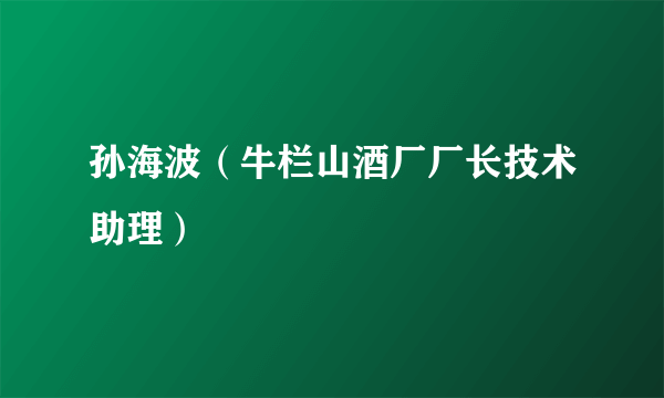 孙海波（牛栏山酒厂厂长技术助理）