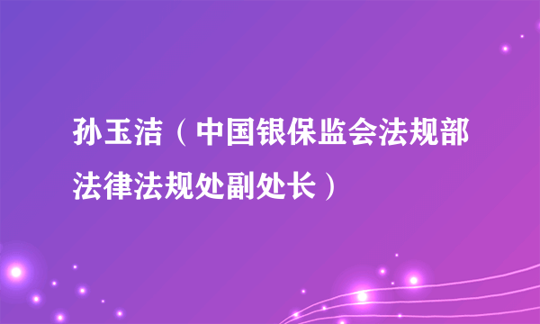 孙玉洁（中国银保监会法规部法律法规处副处长）