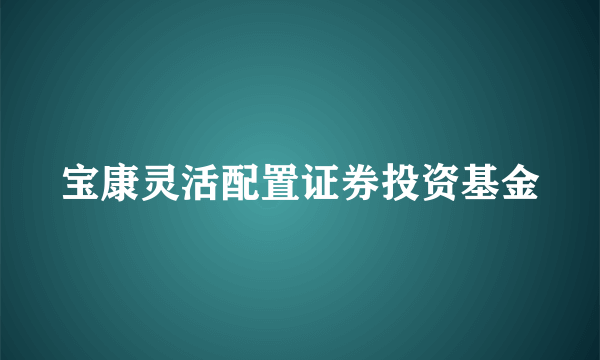 宝康灵活配置证券投资基金