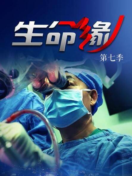 生命缘第七季