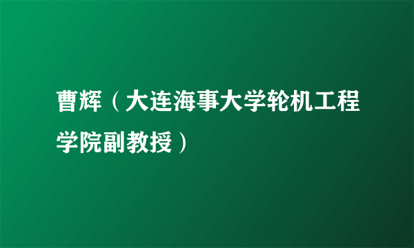 曹辉（大连海事大学轮机工程学院副教授）
