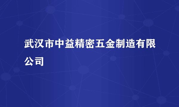 武汉市中益精密五金制造有限公司