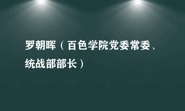 罗朝晖（百色学院党委常委、统战部部长）