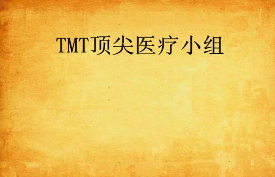 TMT顶尖医疗小组