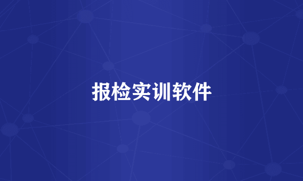 报检实训软件