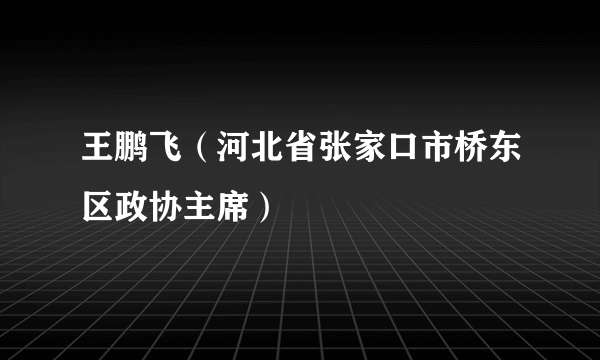 王鹏飞（河北省张家口市桥东区政协主席）