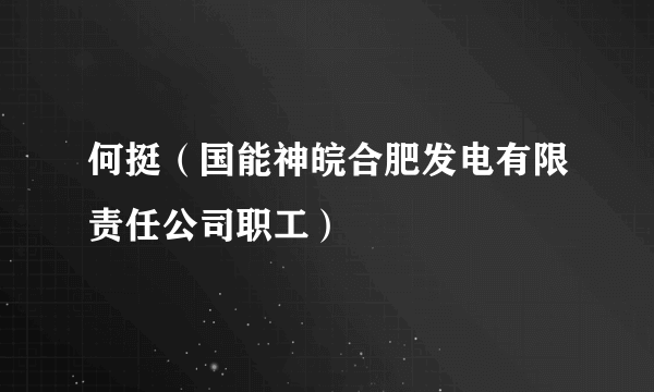 何挺（国能神皖合肥发电有限责任公司职工）