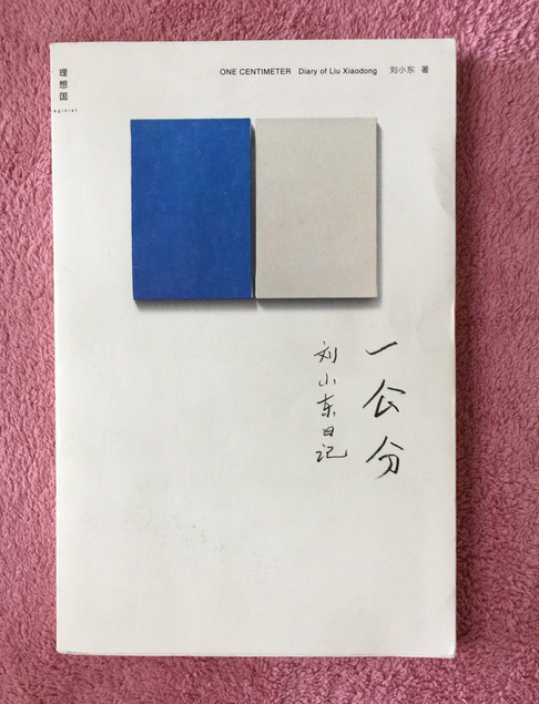 一公分：刘小东日记