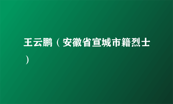 王云鹏（安徽省宣城市籍烈士）