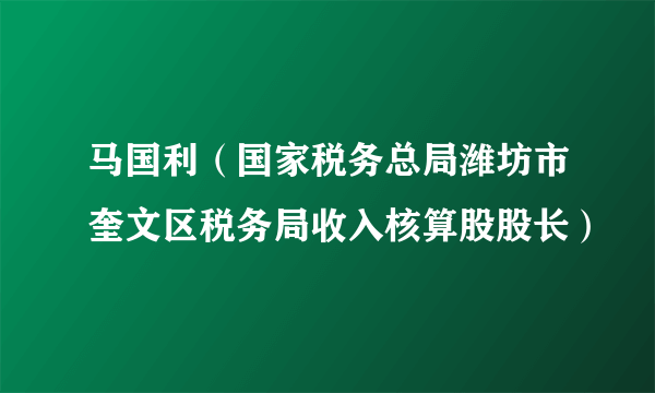 马国利（国家税务总局潍坊市奎文区税务局收入核算股股长）