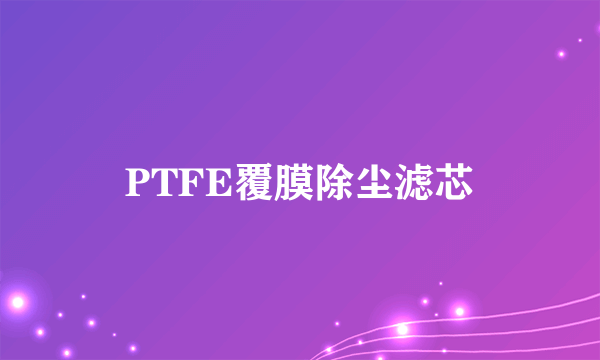 PTFE覆膜除尘滤芯