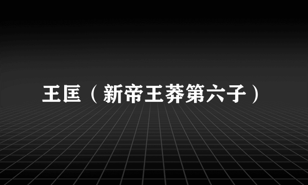 王匡（新帝王莽第六子）