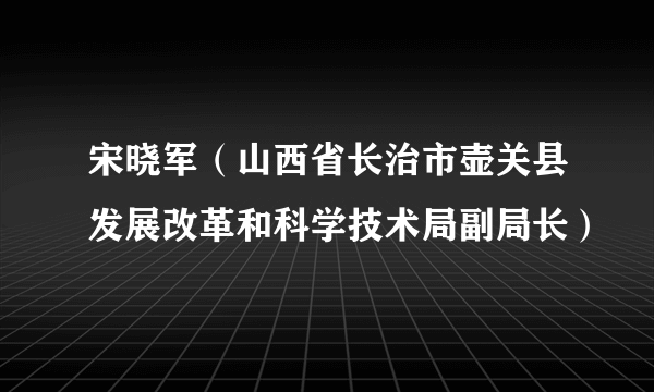 宋晓军（山西省长治市壶关县发展改革和科学技术局副局长）