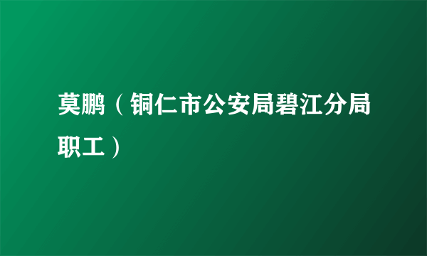 莫鹏（铜仁市公安局碧江分局职工）