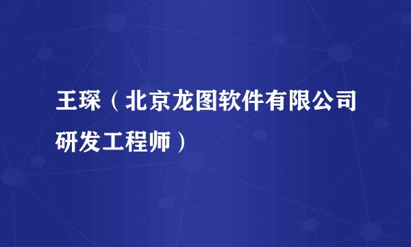 王琛（北京龙图软件有限公司研发工程师）
