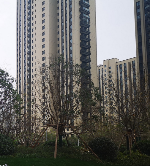 朗诗熙华府（杭州市朗诗熙华府小区）