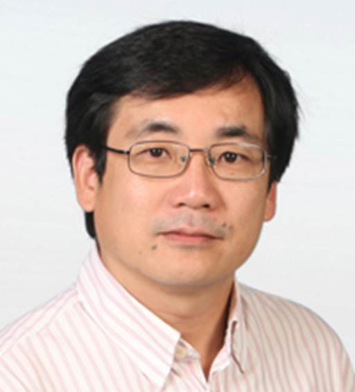 杨海（香港科技大学教授）