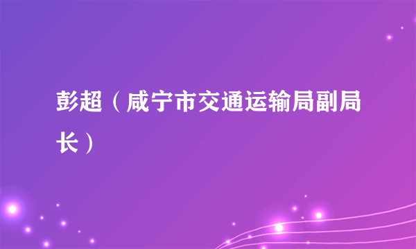彭超（咸宁市交通运输局副局长）