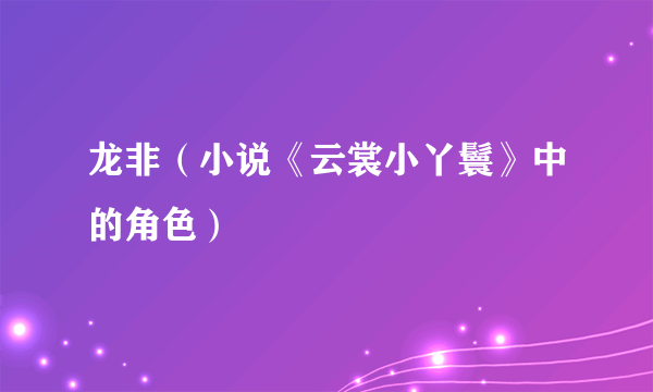 龙非（小说《云裳小丫鬟》中的角色）