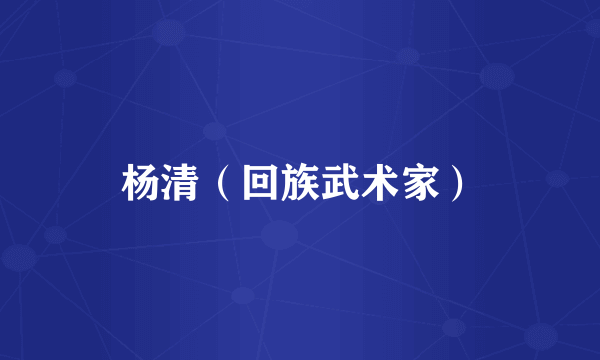杨清（回族武术家）