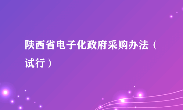 陕西省电子化政府采购办法（试行）