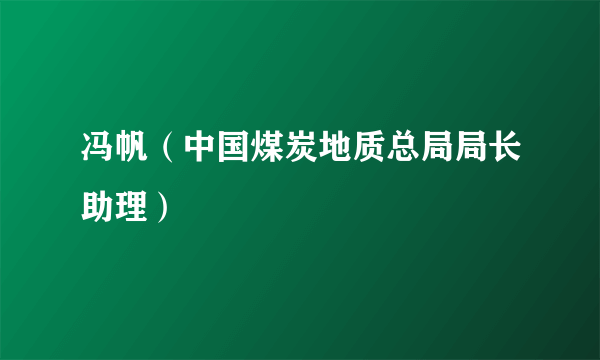冯帆（中国煤炭地质总局局长助理）