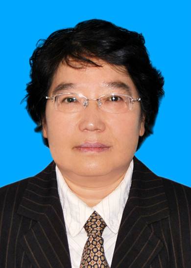 斯琴（内蒙古人防办副主任）