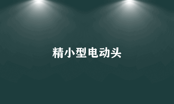 精小型电动头