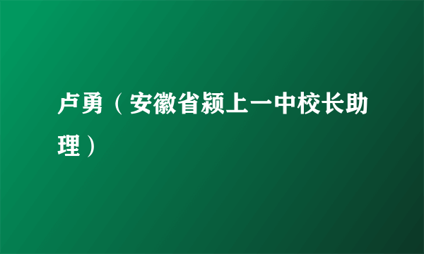 卢勇（安徽省颍上一中校长助理）