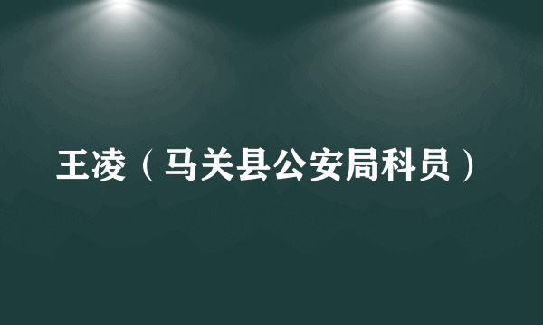 王凌（马关县公安局科员）
