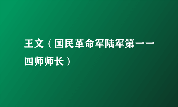 王文（国民革命军陆军第一一四师师长）