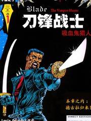 刀锋战士吸血鬼猎人