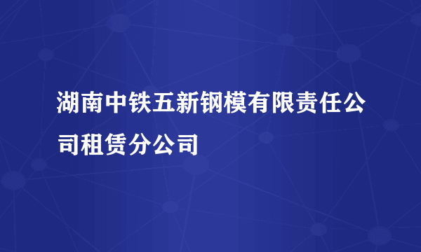 湖南中铁五新钢模有限责任公司租赁分公司