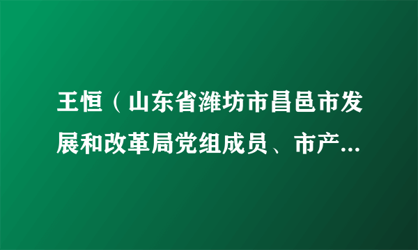 王恒（山东省潍坊市昌邑市发展和改革局党组成员、市产业发展促进中心主任）