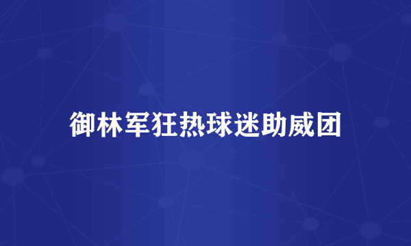 御林军狂热球迷助威团