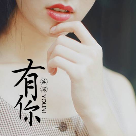 有你（苏琛演唱歌曲）