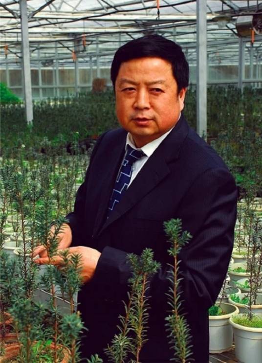 刘志明（中国野生植物保护协会副会长）