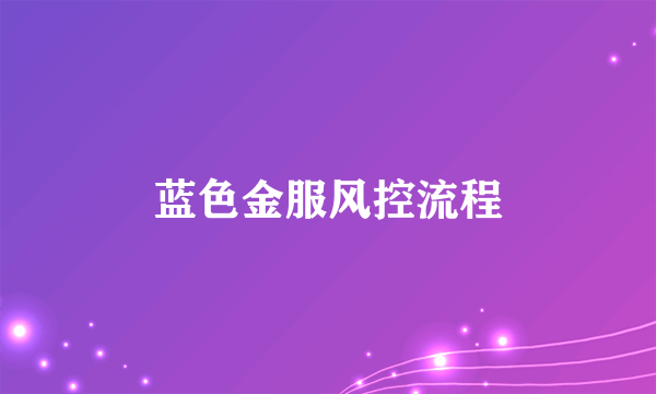 蓝色金服风控流程