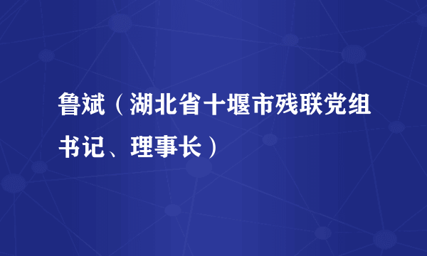 鲁斌（湖北省十堰市残联党组书记、理事长）